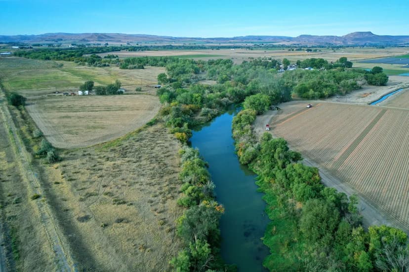 PRICE REDUCED - Thang Broiler Farm – Seven House Farm in Copiah County, Mississippi
