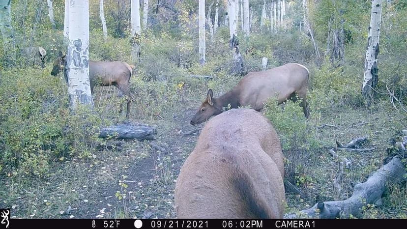 REDUCED! 180 +/- ac Liberty Rd