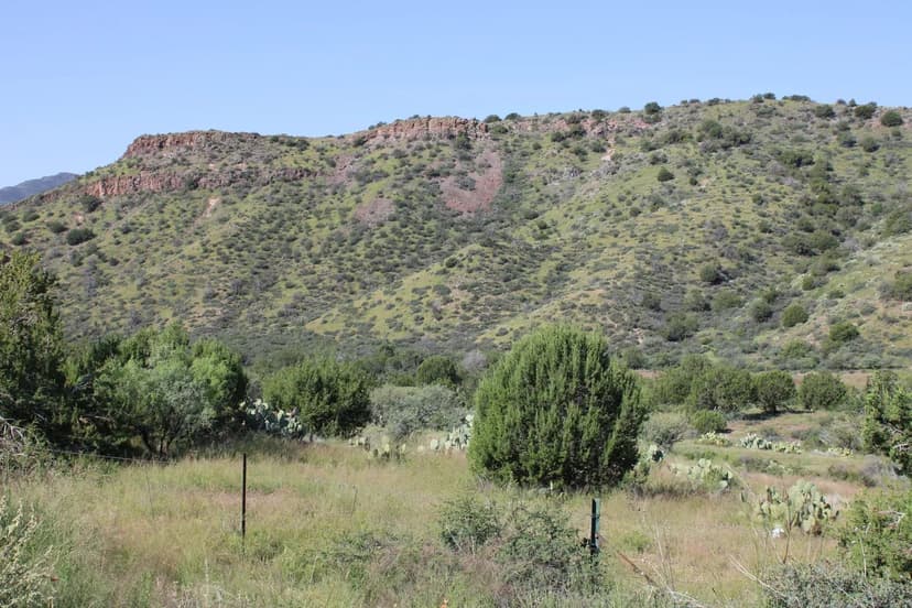 Solid Rock Broiler Farm – Four House Farm in Clay County, AL
