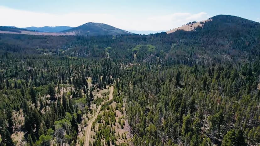 PRICE REDUCED! Whispering Oaks Breeder Farm