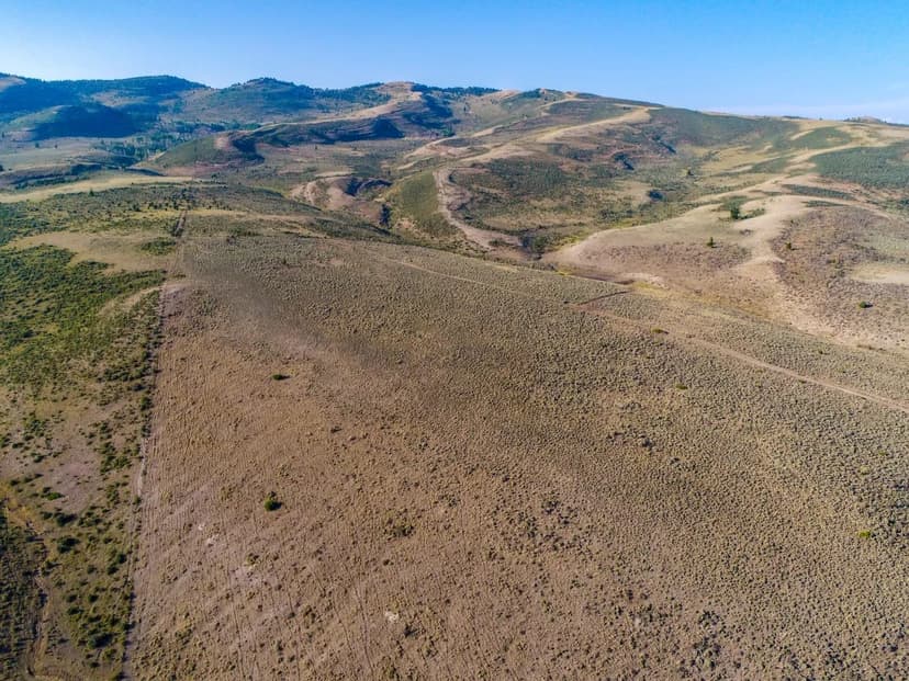 Buildable Lot Collinsville, AL