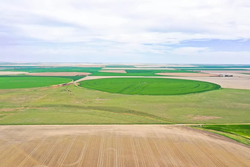 PRICE REDUCTION! Shearin Egg Farm – Nash County, NC