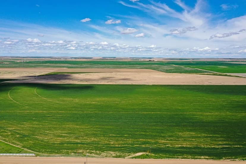 3 Acres Auburn City Limits - Swingle Creek Estates Lot 1