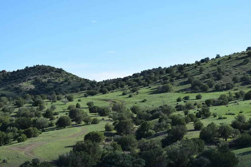 3111 Gillionville Road