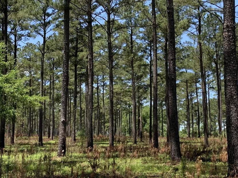 32.52 Acres Carroll County, GA