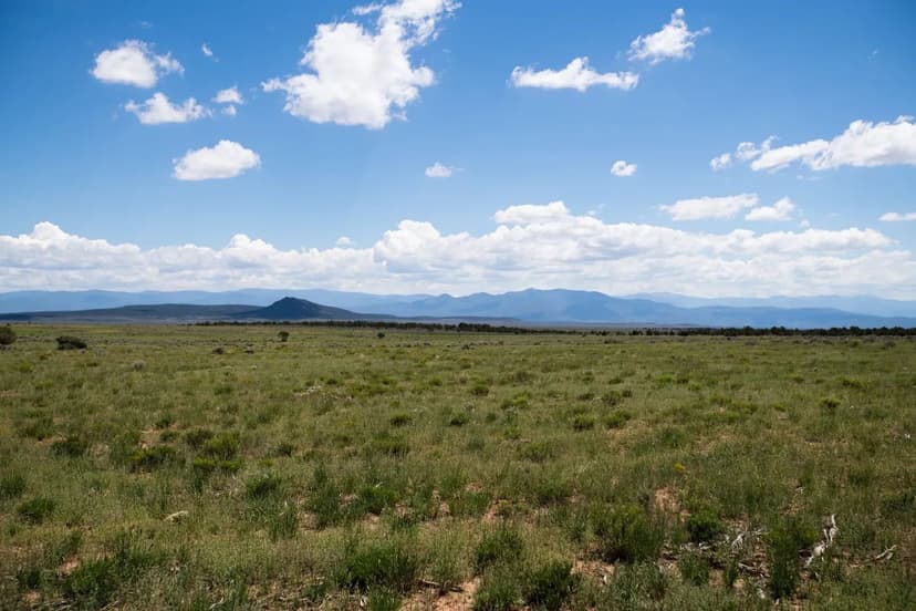 Aung Breeder Farm – Two House Farm in Barnwell County, SC