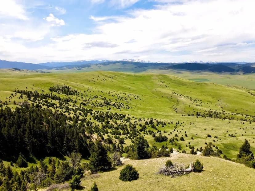 CV Broiler Farm – Six House Farm in Cullman County, AL