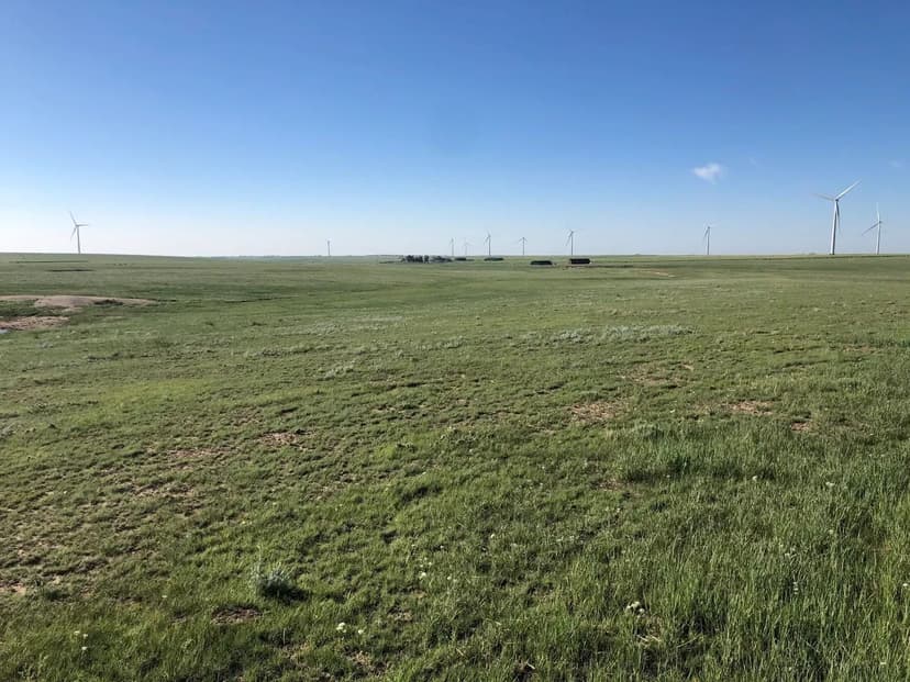 Buck Creek Breeder Farm