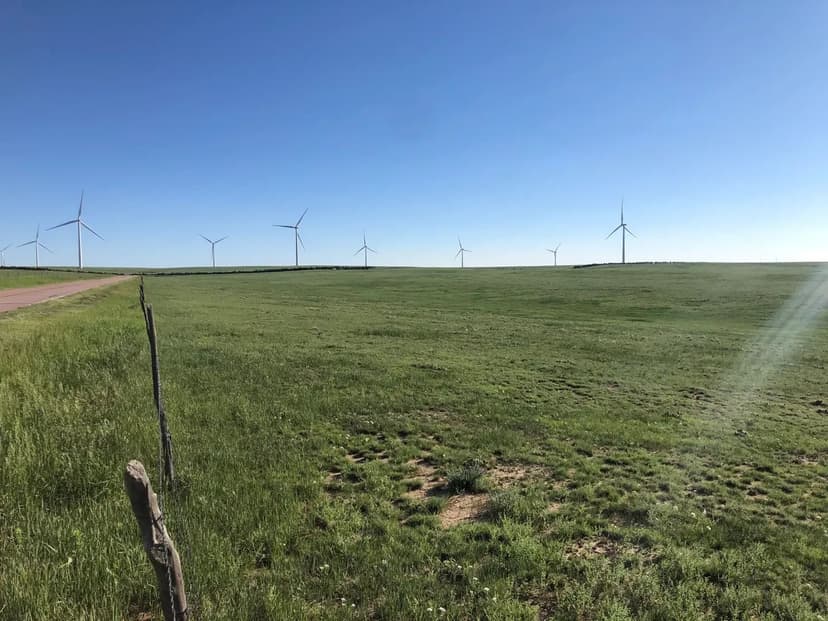 Big Branch Farm – Breeder Houses and Pasture in Pine Knot, Kentucky