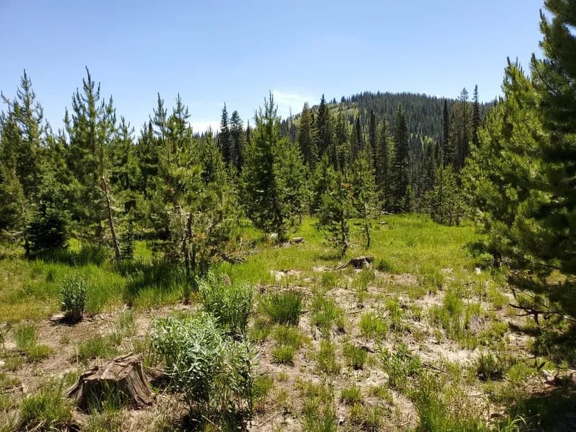 Price Improvement! 6.98 Commercial 7882 Hwy 280