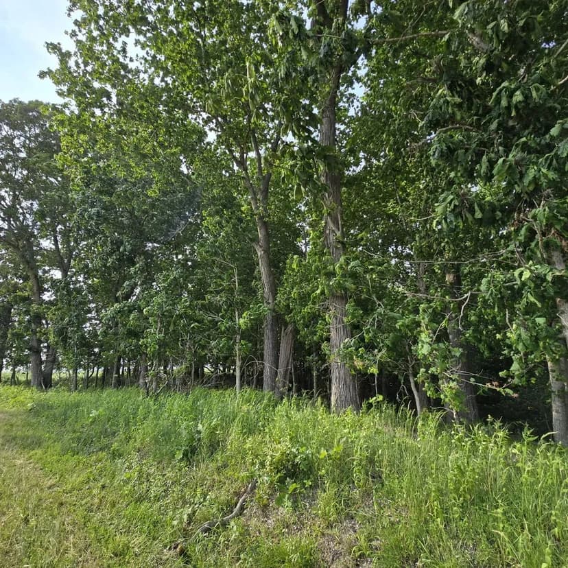 13+/- acres Rome, GA