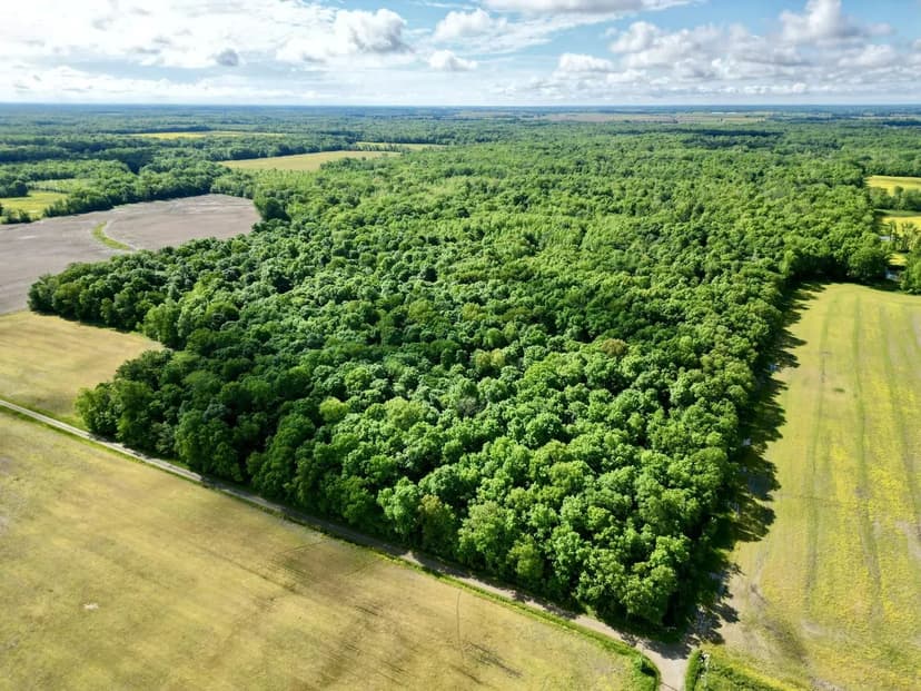 3.59 Acre Lot with Chattooga River Access