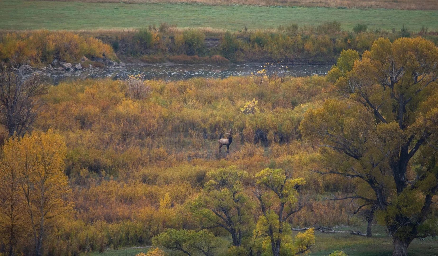 Thunder Water Ranch - Craig, Colorado, 81625