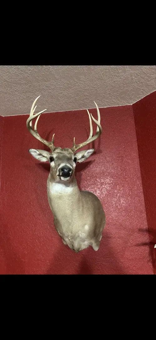 Home, Lakes, Land & Entertainment