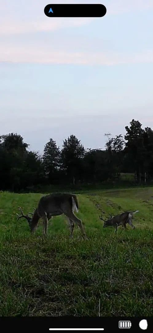 Monessen Street, Fayette County - 30+/- Acres