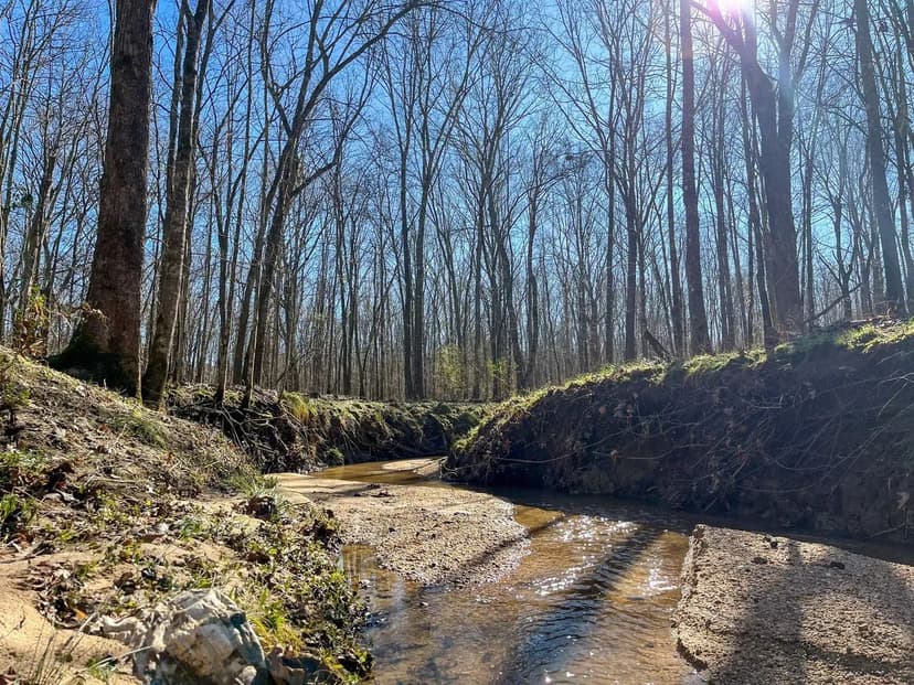 Newton County- 42.26 acres