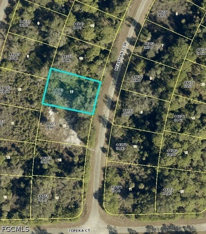 Vacant Land in Lehigh Acres - Lehigh Acres, Florida, 33972