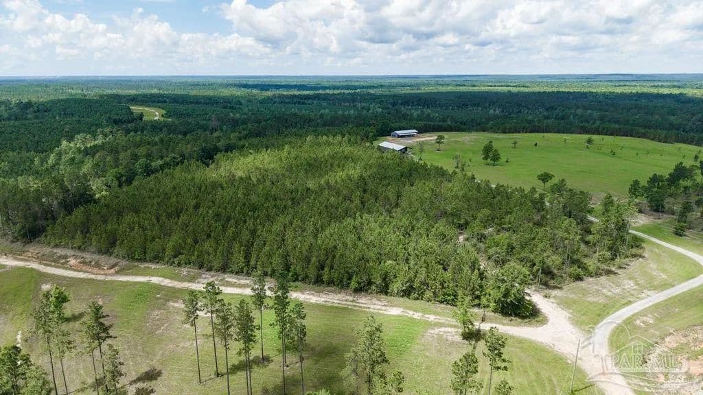 Property from 30 Acres Treetop Ridge Dr - KW - Pace, Florida, 32571