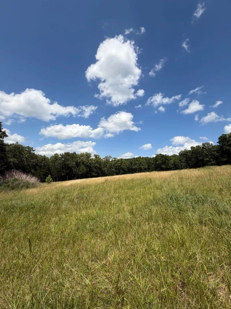 T Highway 10 - Stoutland, Missouri, 65567