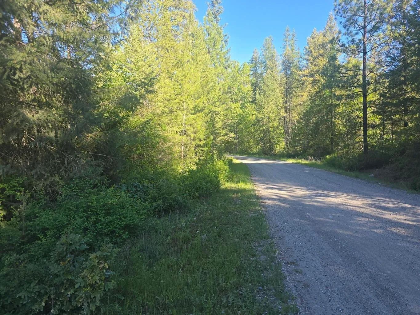 Property from 564 Crown Ridge Way - KW - Colville, Washington, 99114