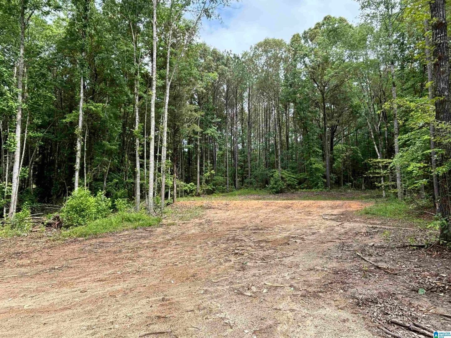 1 Acre of Land for Sale in Wedowee, Alabama - Wedowee, Alabama, 36278