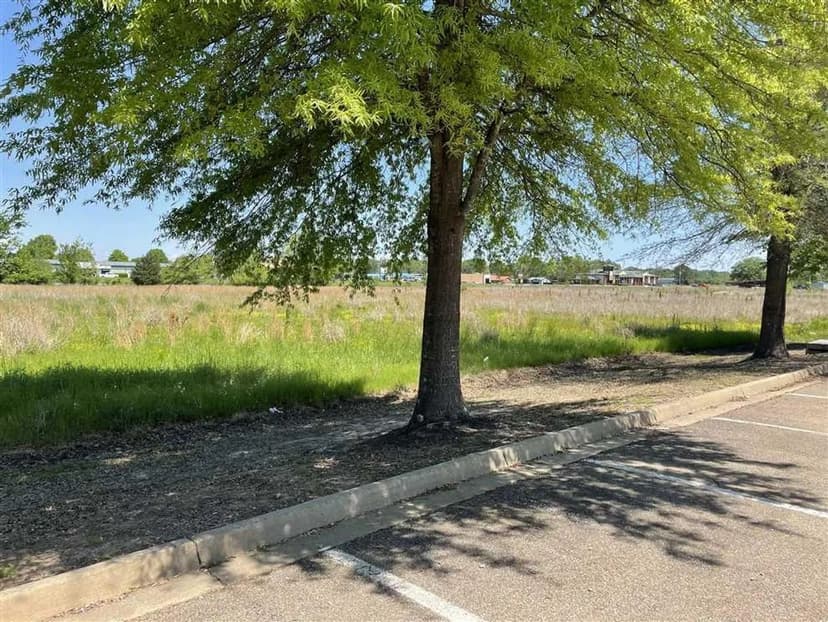 Hwy 45 Alt Commercial Lot 13