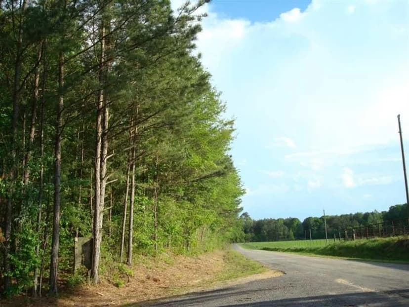 115 +/- Acres of prime hunting land in Rankin County, MS