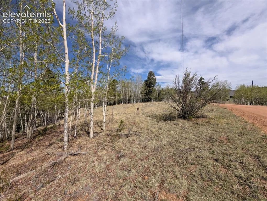 Property from 905 May Queen Drive - KW - Cripple Creek, Colorado, 80813