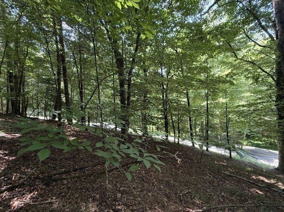 Property from LT3469 Fir Lane - KW - Ellijay, Georgia, 30540