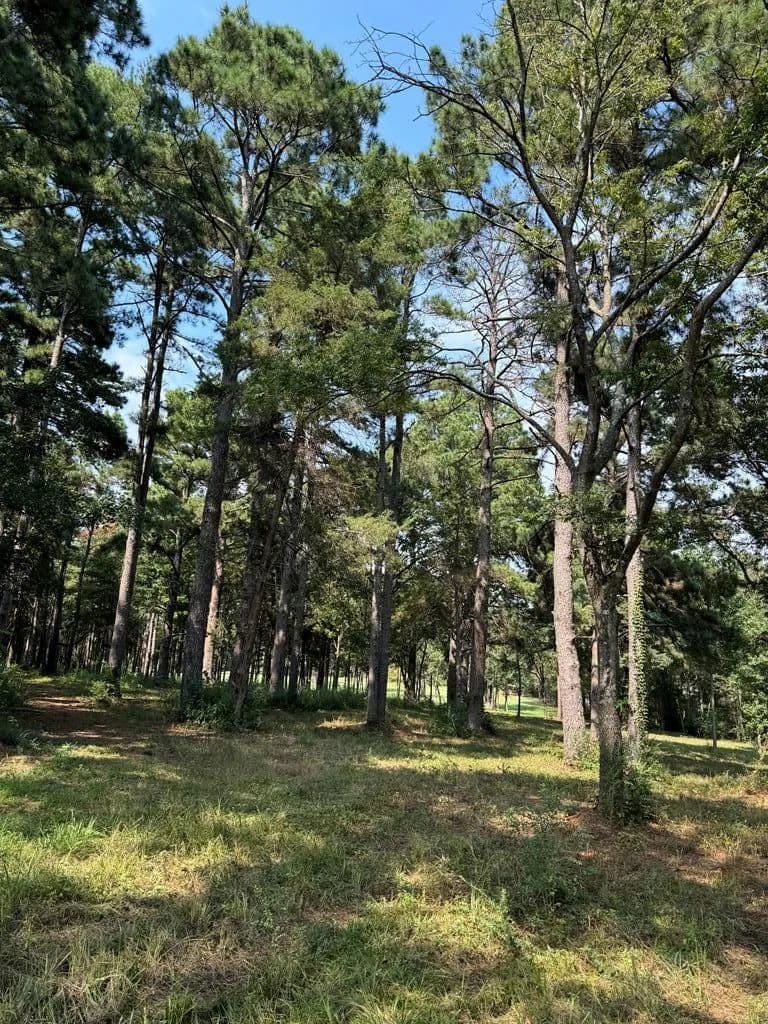 20.41 Acres of Land for Sale in Nacogdoches, Texas - Nacogdoches, Texas, 75965