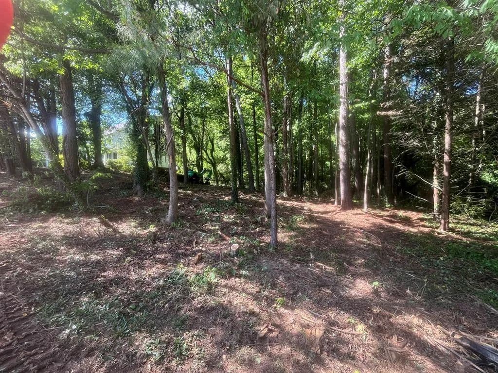 Property from lot 35 Ryman Ridge Rd - KW - Dalton, Georgia, 30720