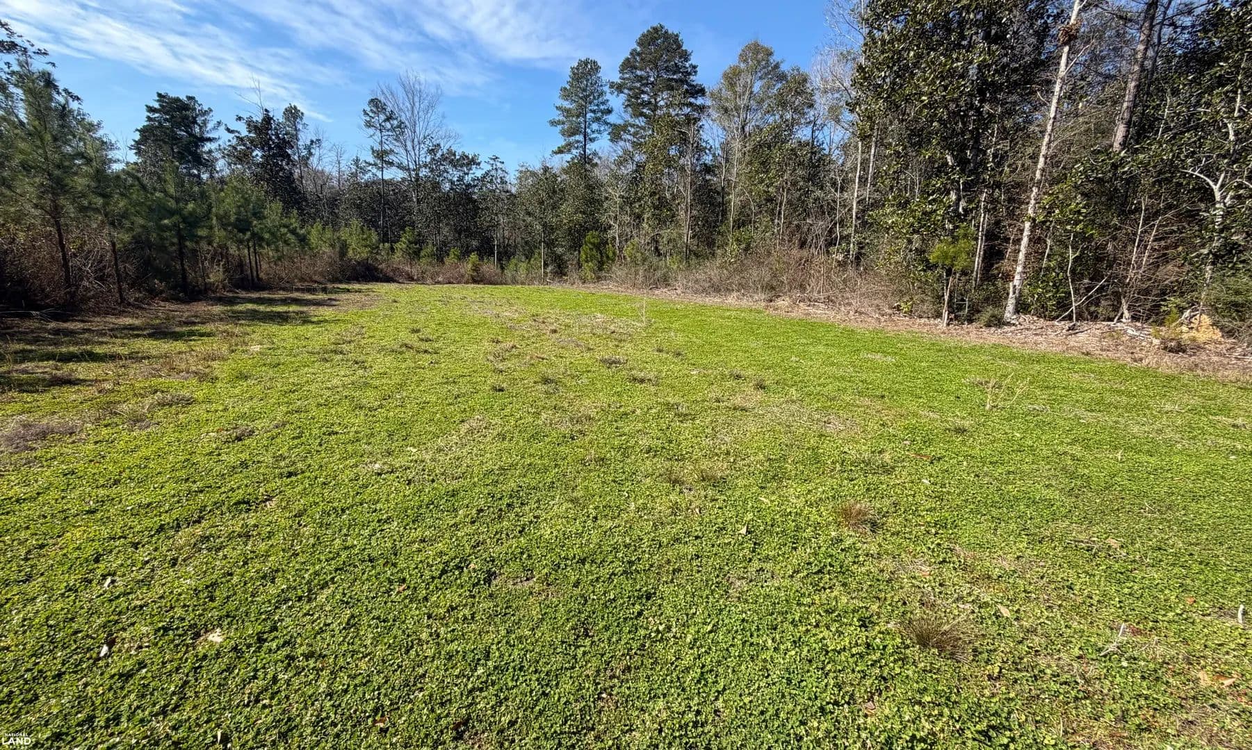 Taylor Mill Rd Recreational Tract B - Elba, Alabama, 36323