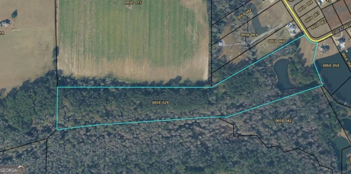 34.59 Acres of Land for Sale in Adel, Georgia - Adel, Georgia, 31620