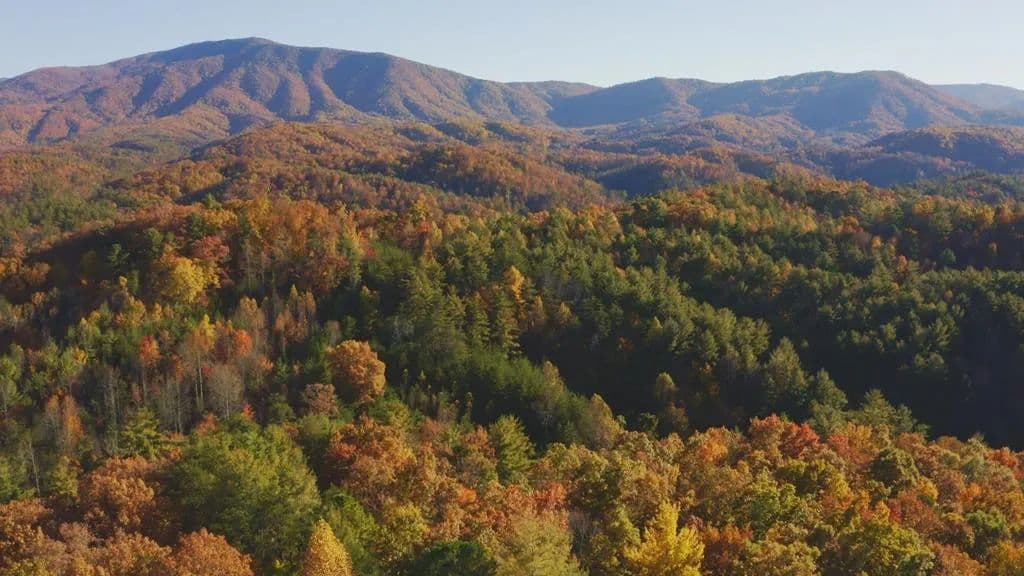 116 Acres of Land for Sale in Del Rio, Tennessee - Del Rio, Tennessee, 37727