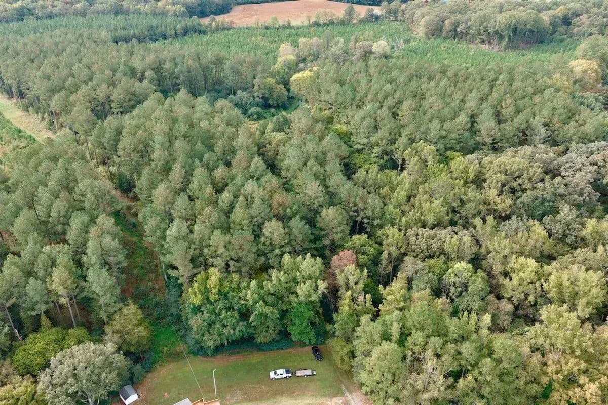 82 Acres of Recreation and Timber Land for Sale in Stanly County NC! - Oakboro, North Carolina, 28001