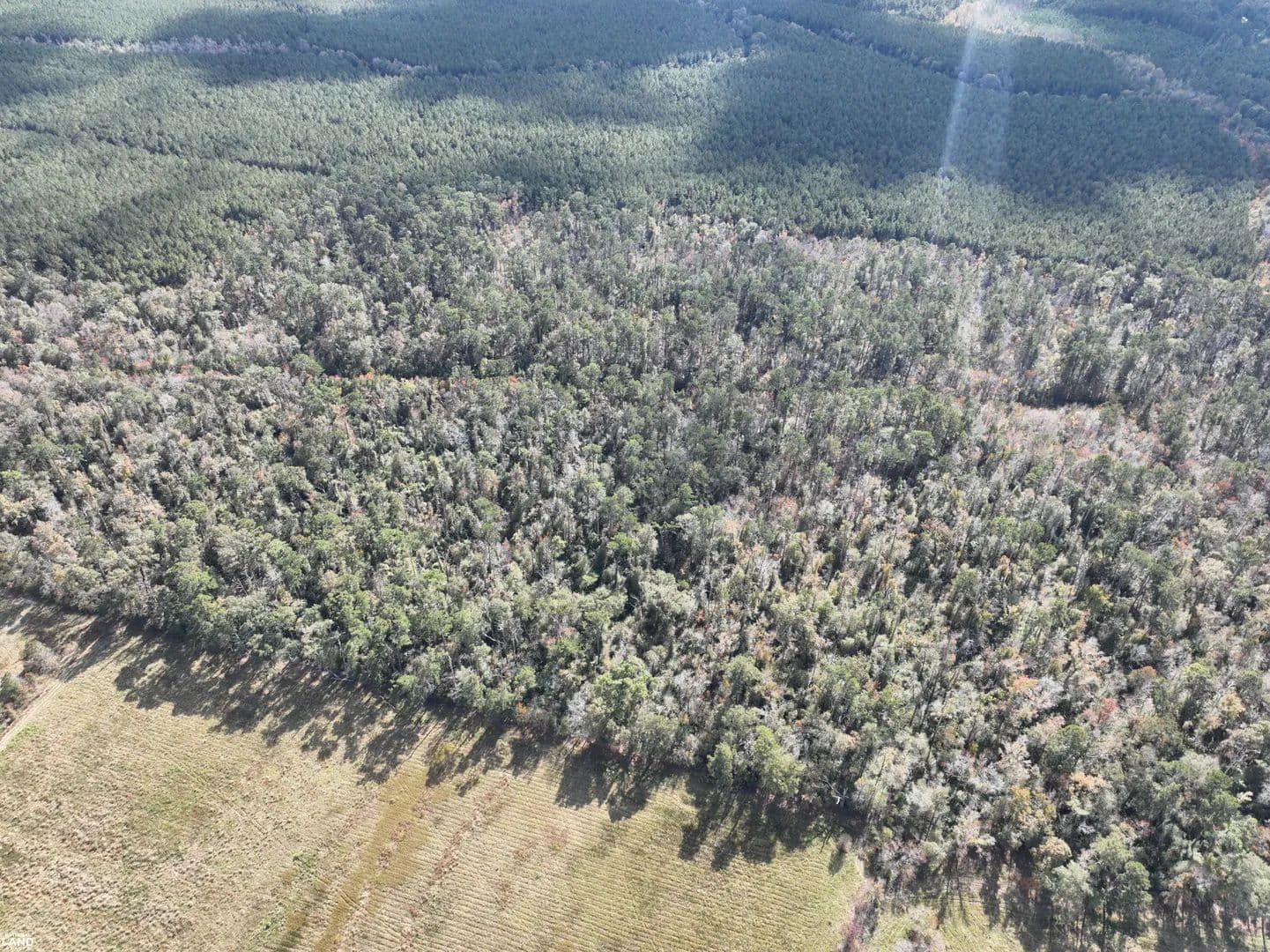 Hunting - Timber Investment - Rural Homesite - Kinder, Louisiana, 70648