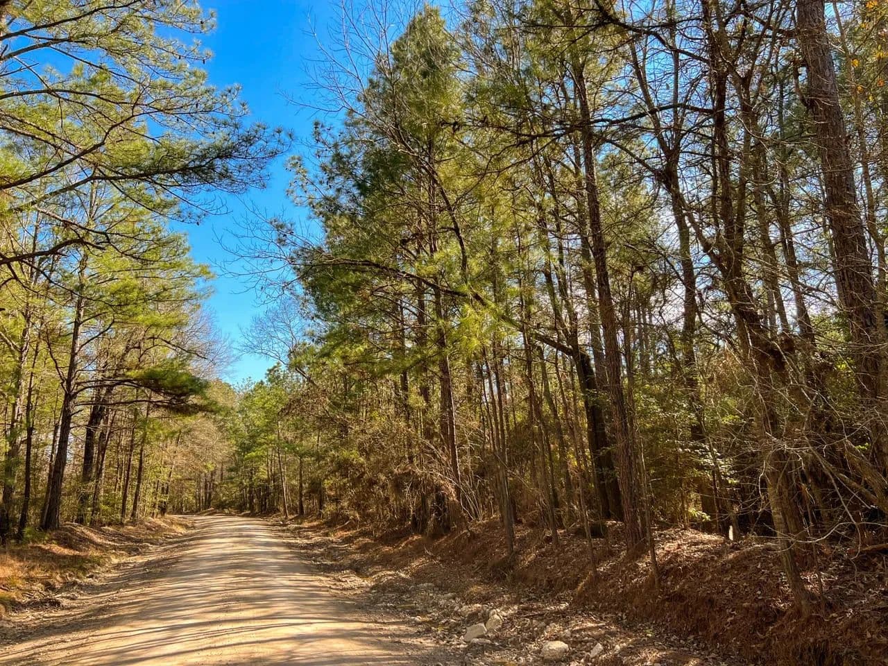 35 Acres | T-15 | Union Springs Rd. | T3077 - Corrigan, Texas, 75939