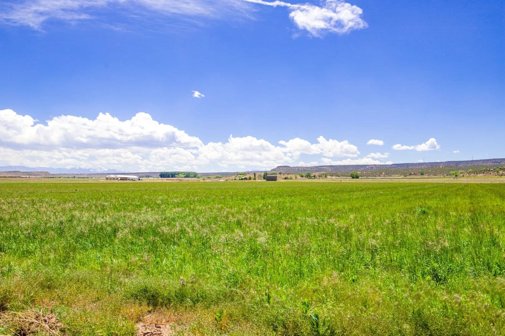Luca Estates NO. 1 Lot 2 - Montrose, Colorado, 81403