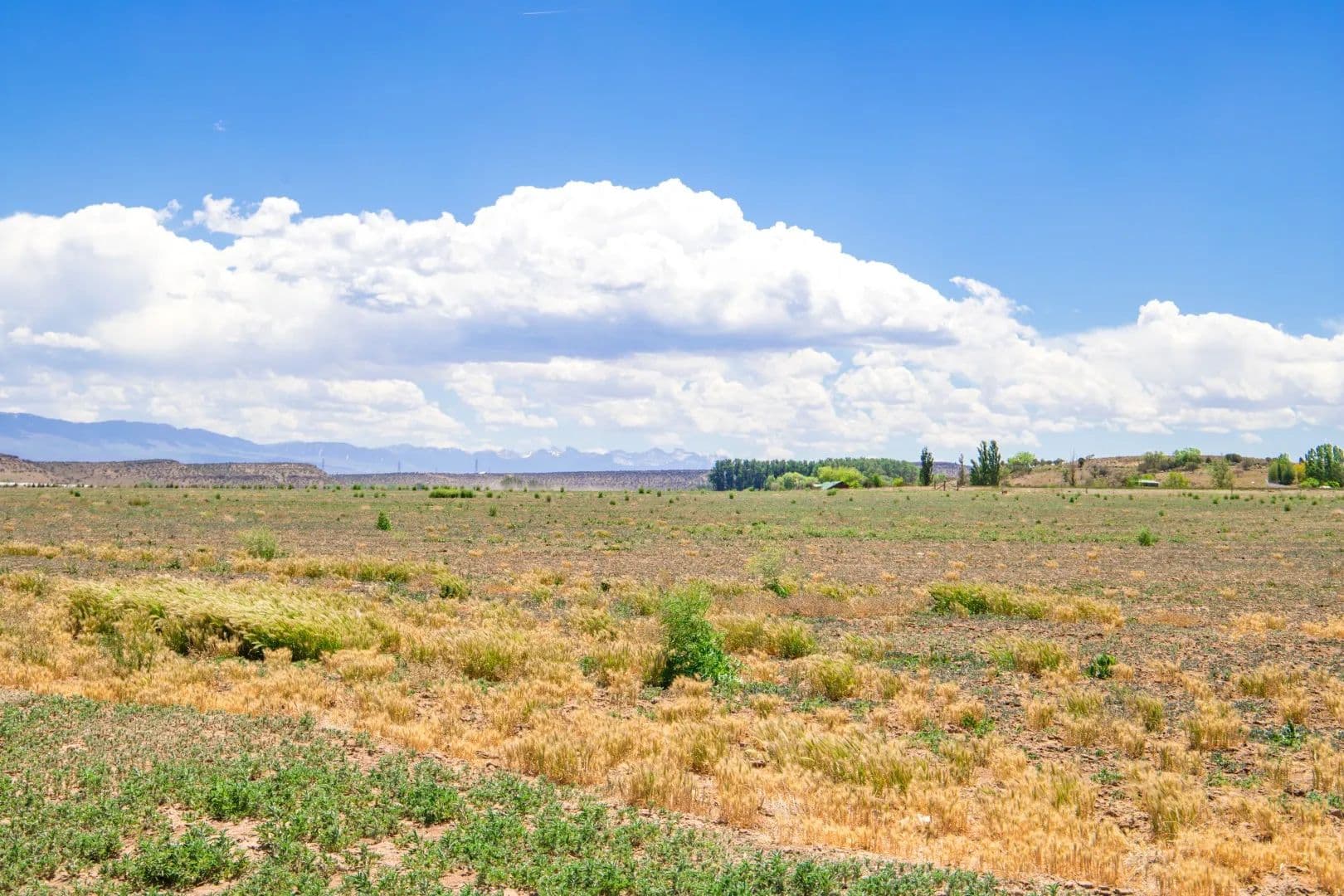 Luca Estates NO. 2 lot 2 - Montrose, Colorado, 81403