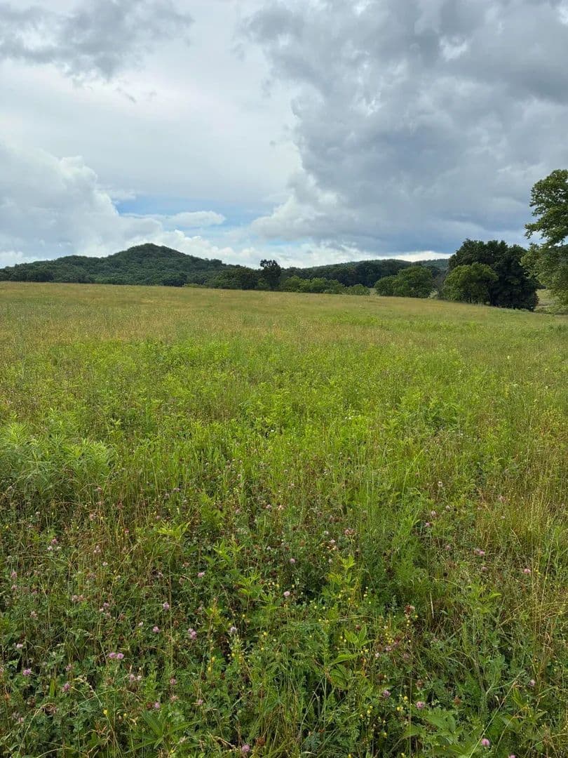 Property from 1234 Hart Pike - KW - Owingsville, Kentucky, 40360