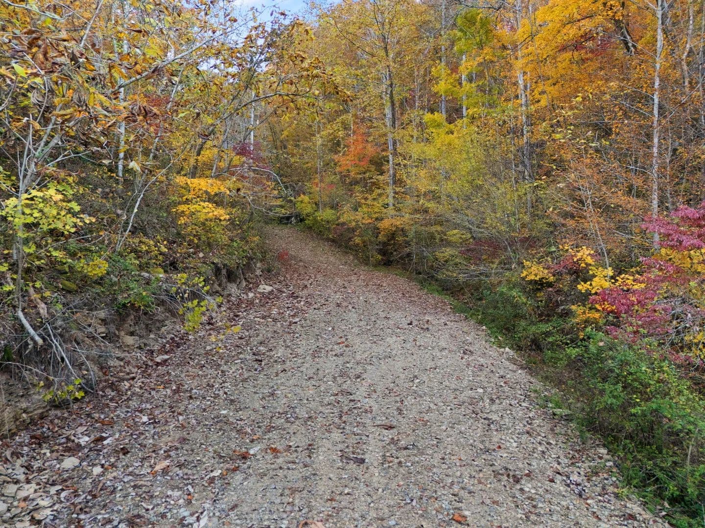 Property from 9999 S KY-11 - KW - Manchester, Kentucky, 40962