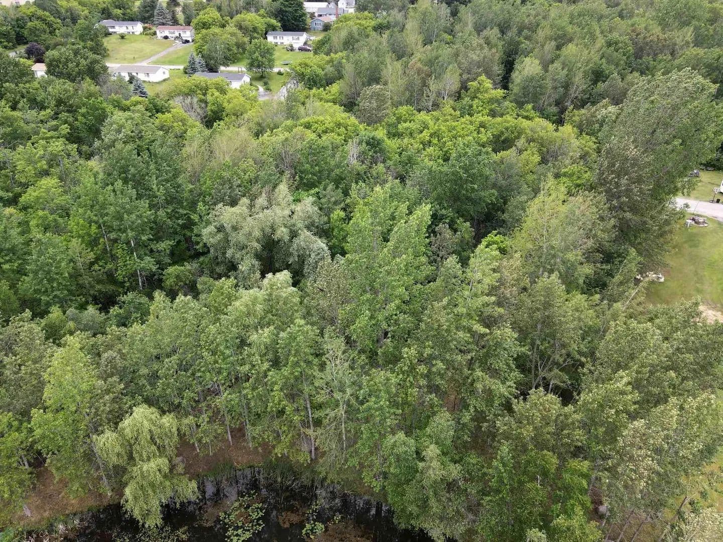 0.48 Acres of Land for Sale in Dannemora, NY - Dannemora, New York, 12929