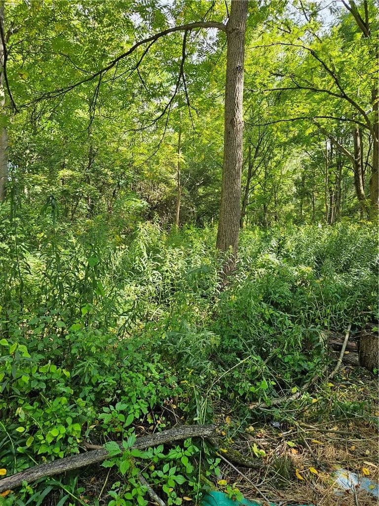 27.52 Acres of Land for Sale in Clyde, NY - Clyde, New York, 14433