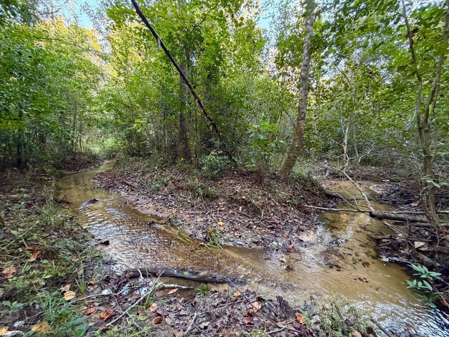 Sizemore Creek Hunting Tract - Jackson, Alabama, 36545