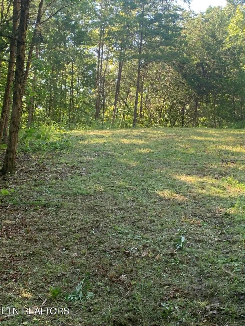 Property from Vera Lane - KW - Dandridge, Tennessee, 37725