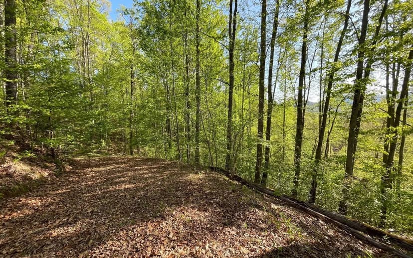 Lots & Land-Other in Hayesville