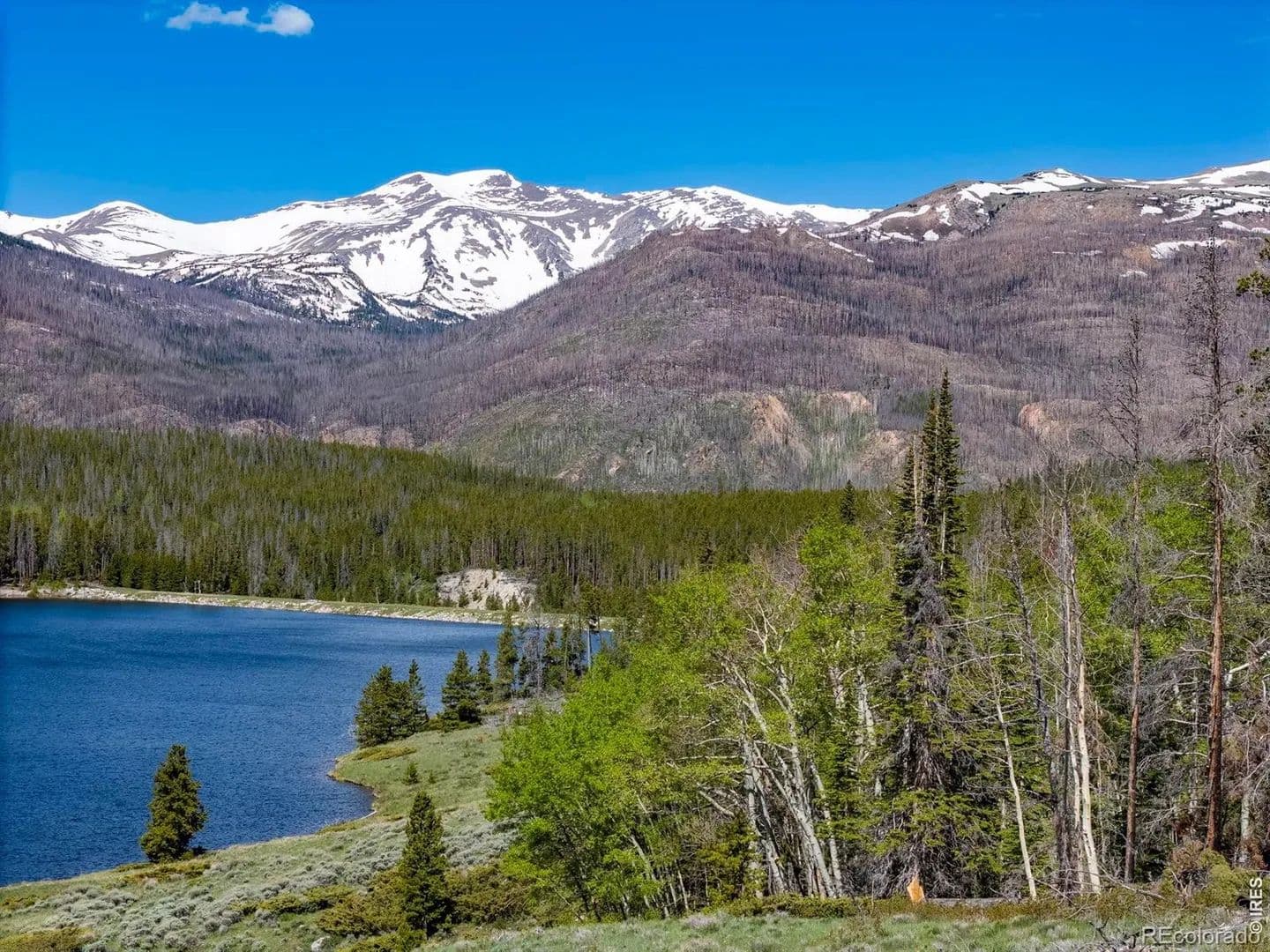 Property from 0 W Highway 14 - KW - Bellvue, Colorado, 80512