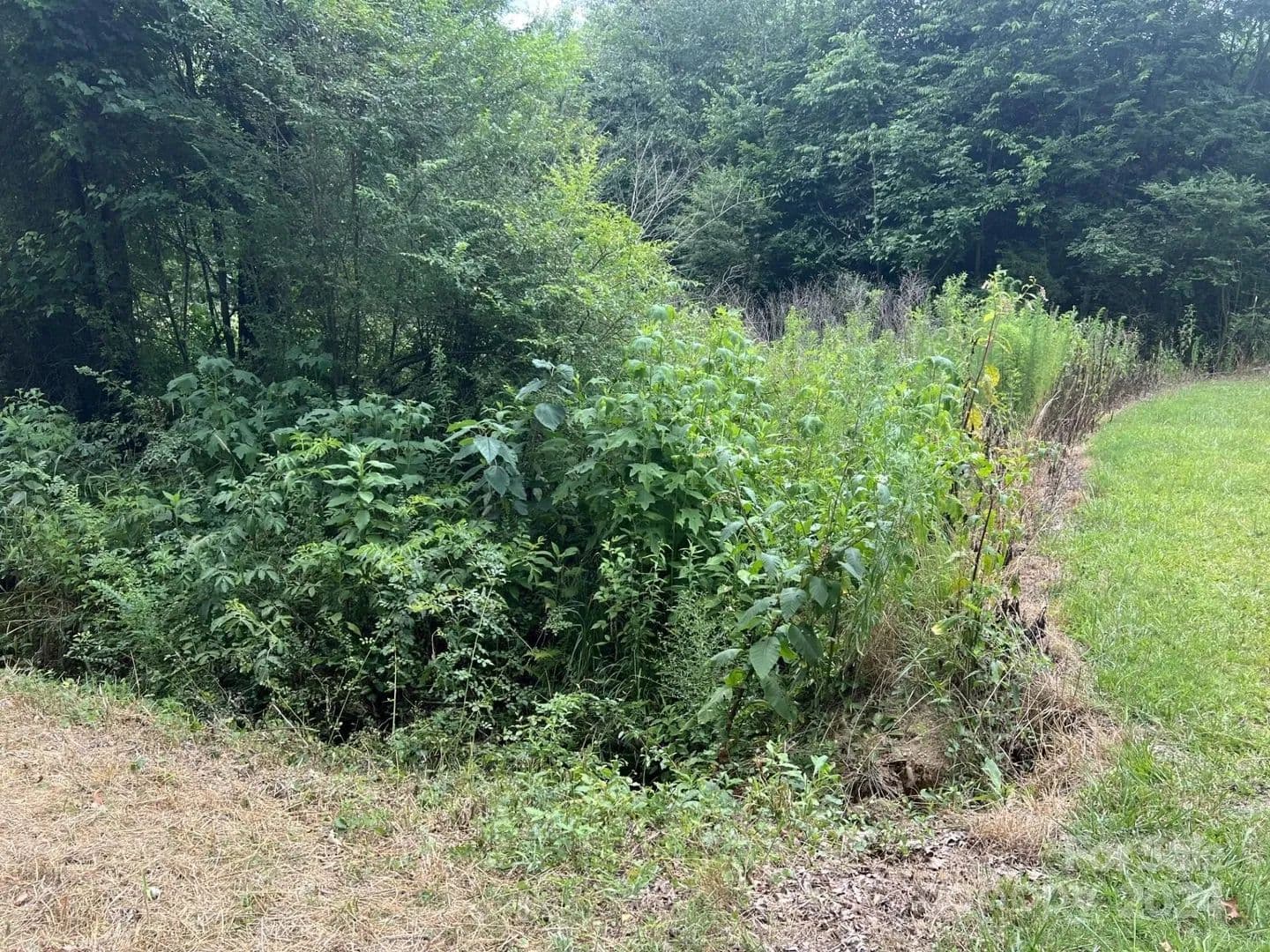 Lots & Land-Other in Norwood - Norwood, North Carolina, 28128