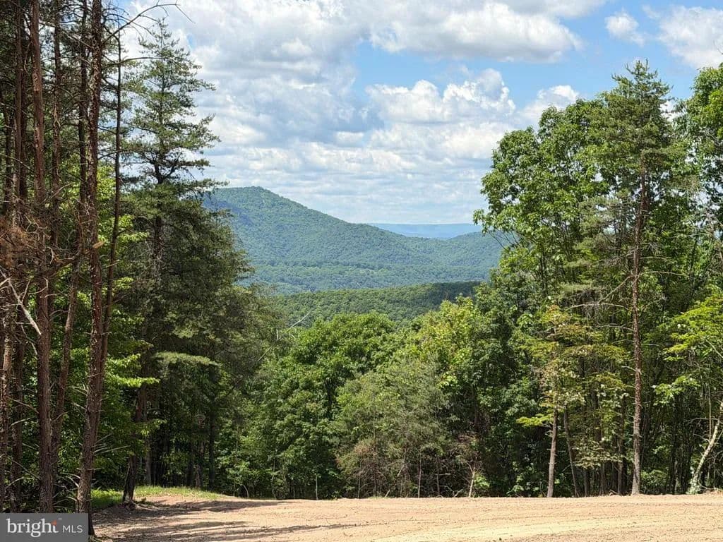 22.32 Acres of Land for Sale in Moorefield, West Virginia - Moorefield, West Virginia, 26836