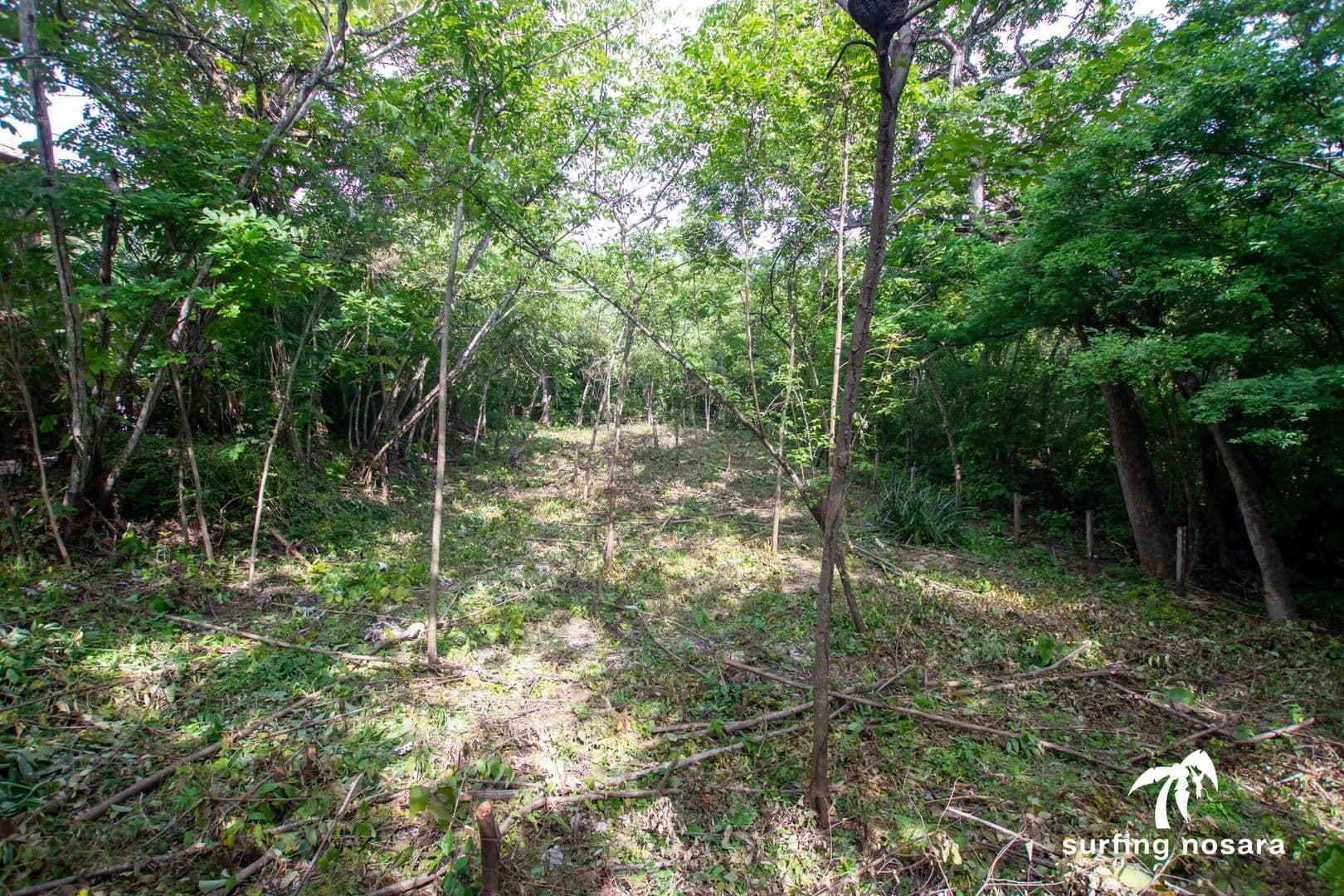 Vacant Land in Nosara - Costa Rica